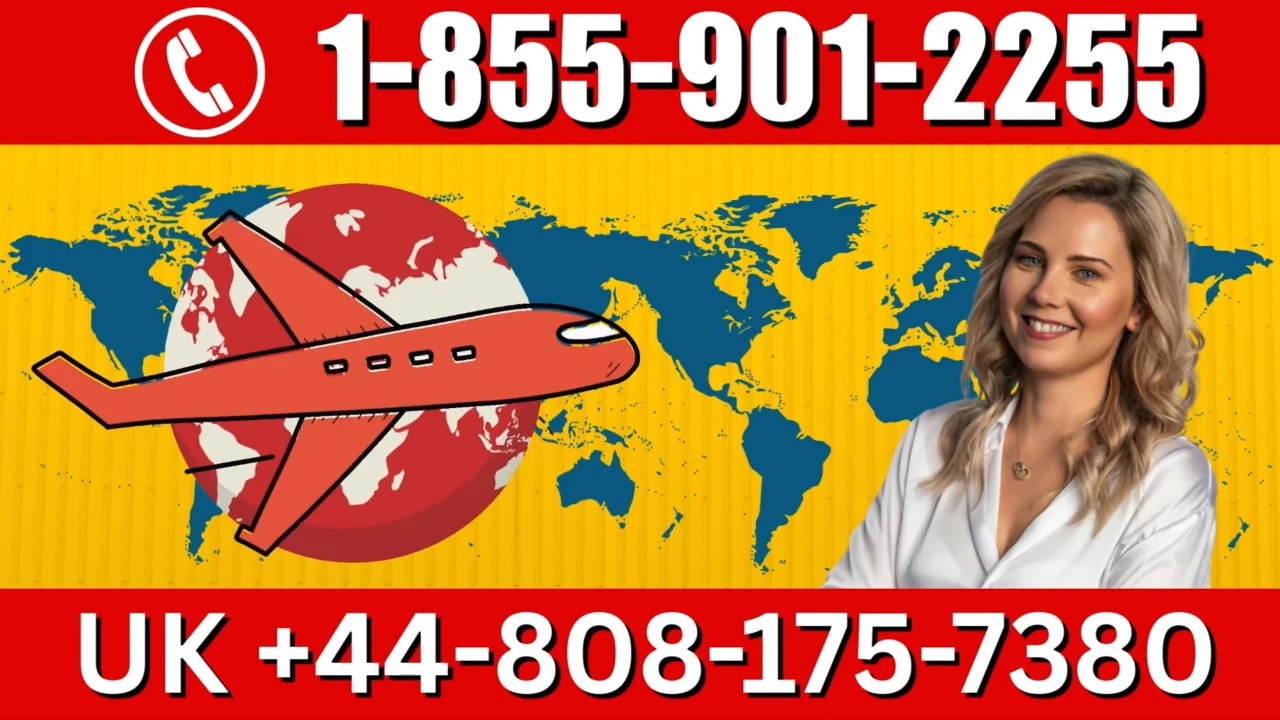 Easyjet&reg; Official Customer Service | Complete Guide to Live Chat, Email & Calls Support