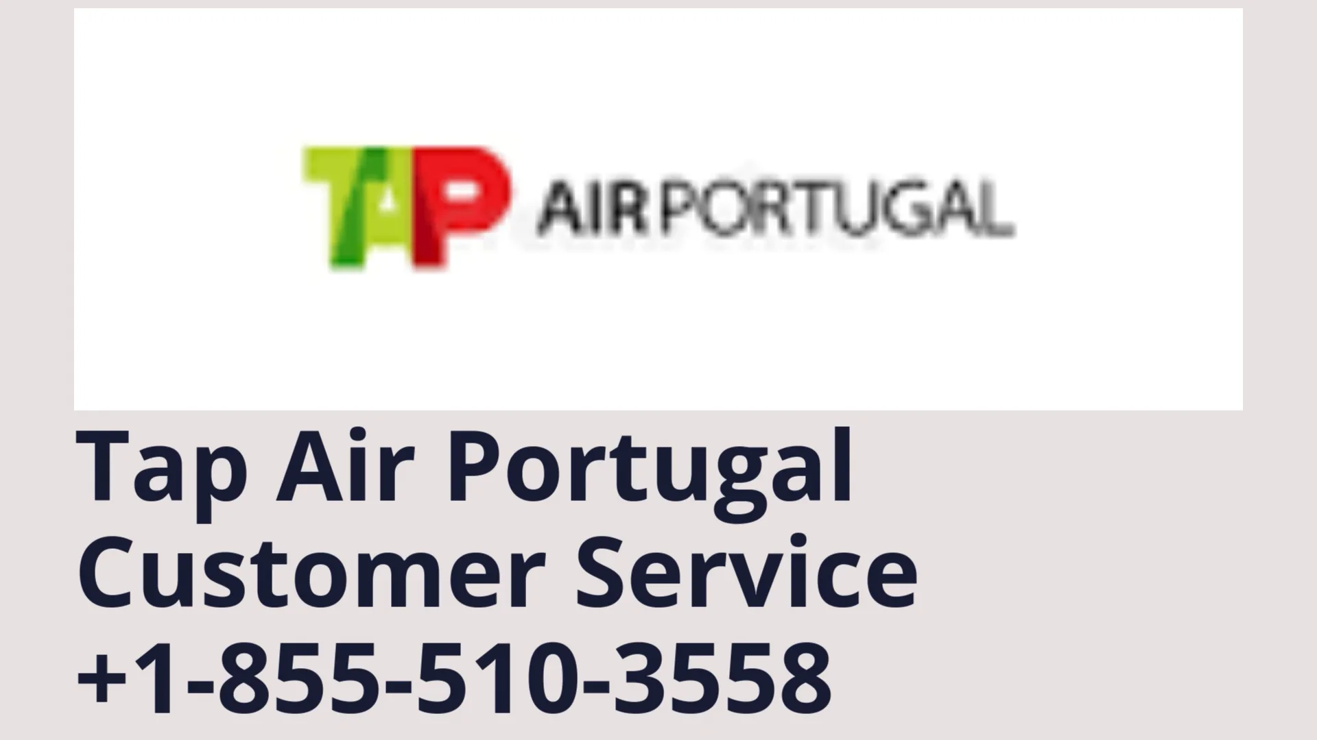Tap Air Portugal&trade;{{Customer Service}} Complete Guide to Live Chat, Email & Calls - Step-by-step