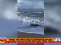 Prima Mattina News - Collegamento con il professor Roberto Danovaro (Disva Unipmv)