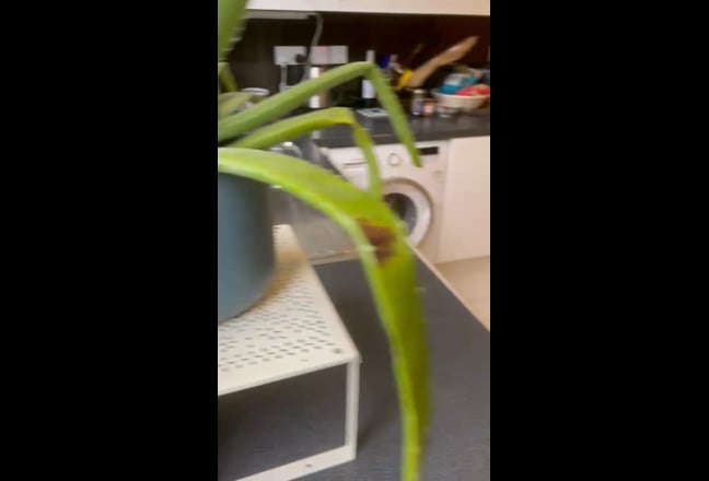 Double Room available in spacious 3-bed flat Main Photo