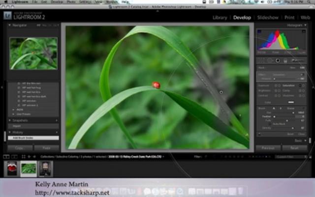Selective Coloring with Lightroom 2 on Vimeo