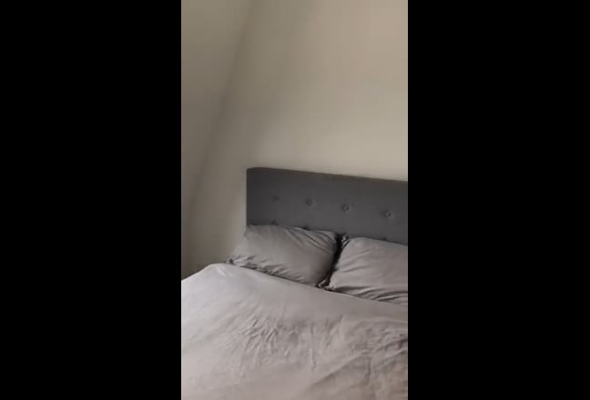 Ensuite room in a large flat with garden. Main Photo