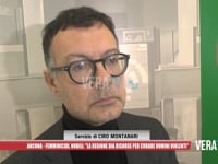 Ancona - Femminicidi, Nobili: "La Regione dia risorse per curare uomini violenti"