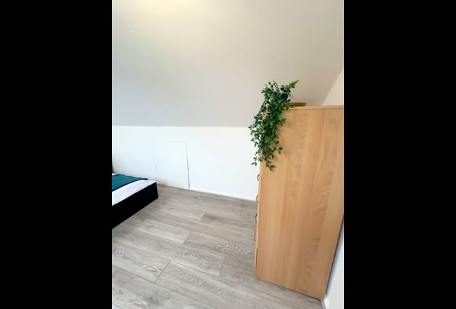 10k Stunning Brand new Property with Garden N17  Main Photo