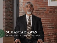 International Small Cap Strategy: Performance Review