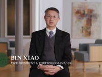 International Opportunities Strategy: Performance Review