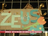 Senigallia - Botti di fine anno, Zeus simbolo dei cani terrorizzati