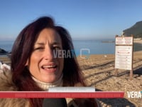 Numana - La foca nella riviera del Conero, sosta prima di ripartire verso nord