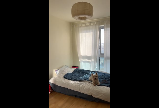 Double room en-suite in Tower Hamlets Main Photo