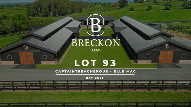 Lot 93