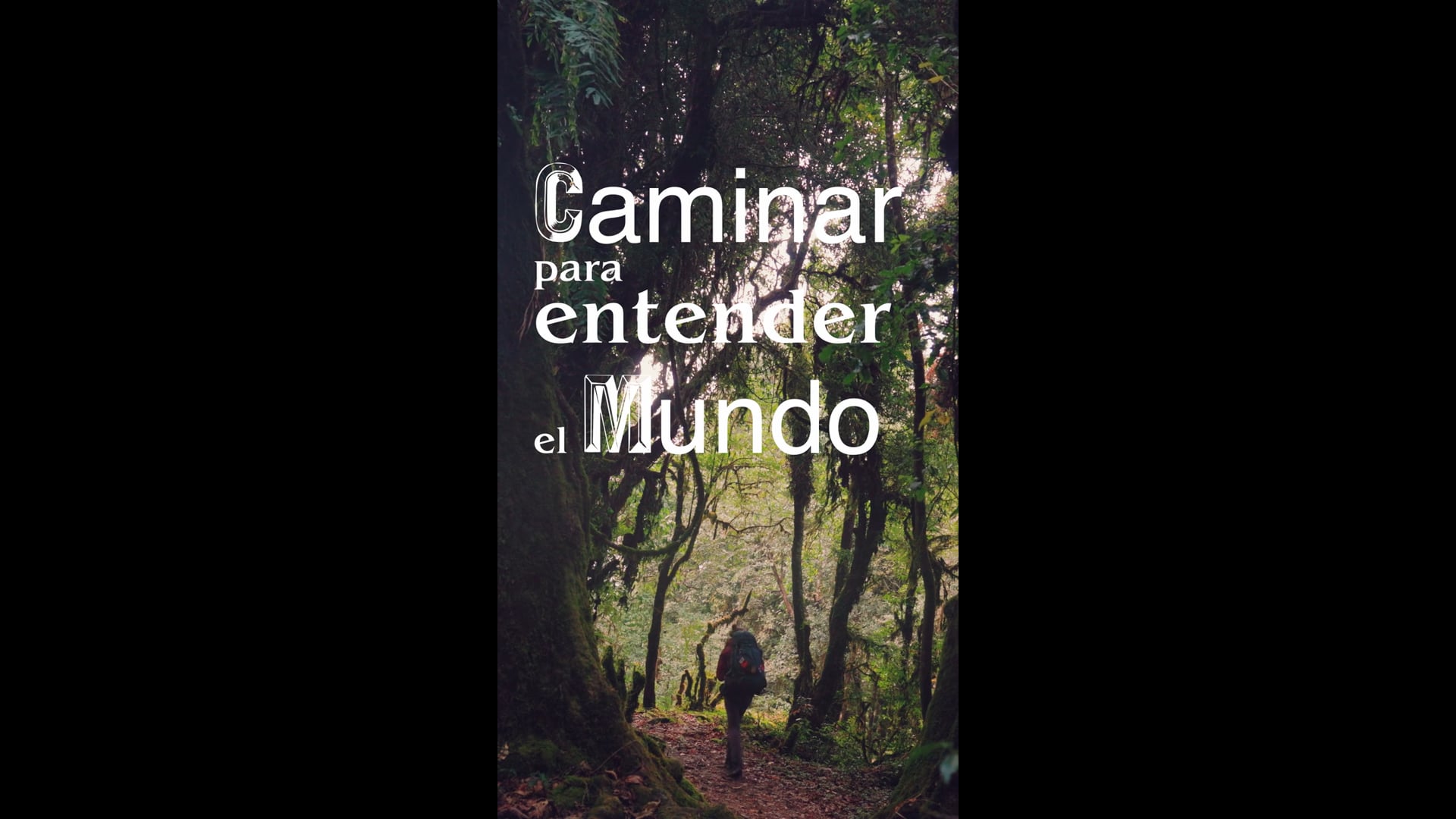 Caminar para entender el mundo