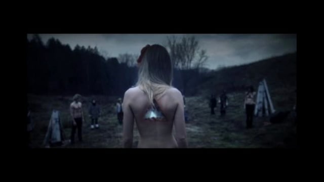 We Are Wolves - Coconut Night thumbnail