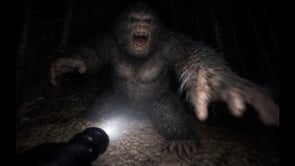 Related Embedded Video Item Thumbnail