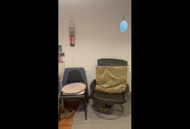 Self contained 1 bedroom Annex for Female Main Photo