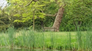 Related Embedded Video Item Thumbnail