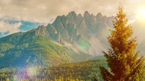 Related Embedded Video Item Thumbnail