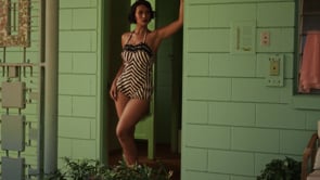 Related Embedded Video Item Thumbnail