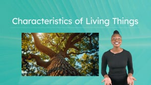 Characteristics of Living Things