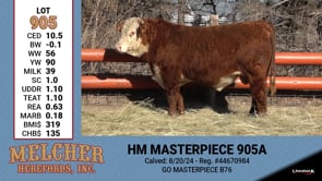Lot #905 - HM MASTERPIECE 905A