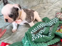 My personality & characteristics