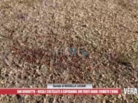 San Benedetto - Risse e coltellate nella notte di Capodanno: la Polizia ferma un 21enne