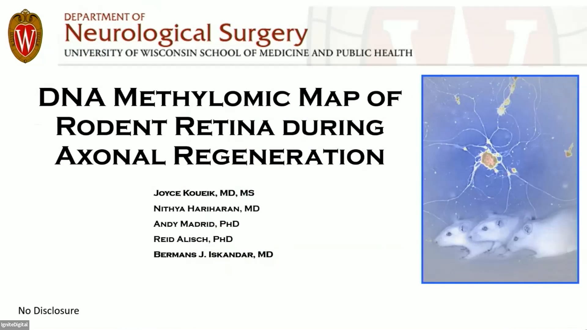 DNA Methylomic Map of Rodent Retina During Axonal Regeneration