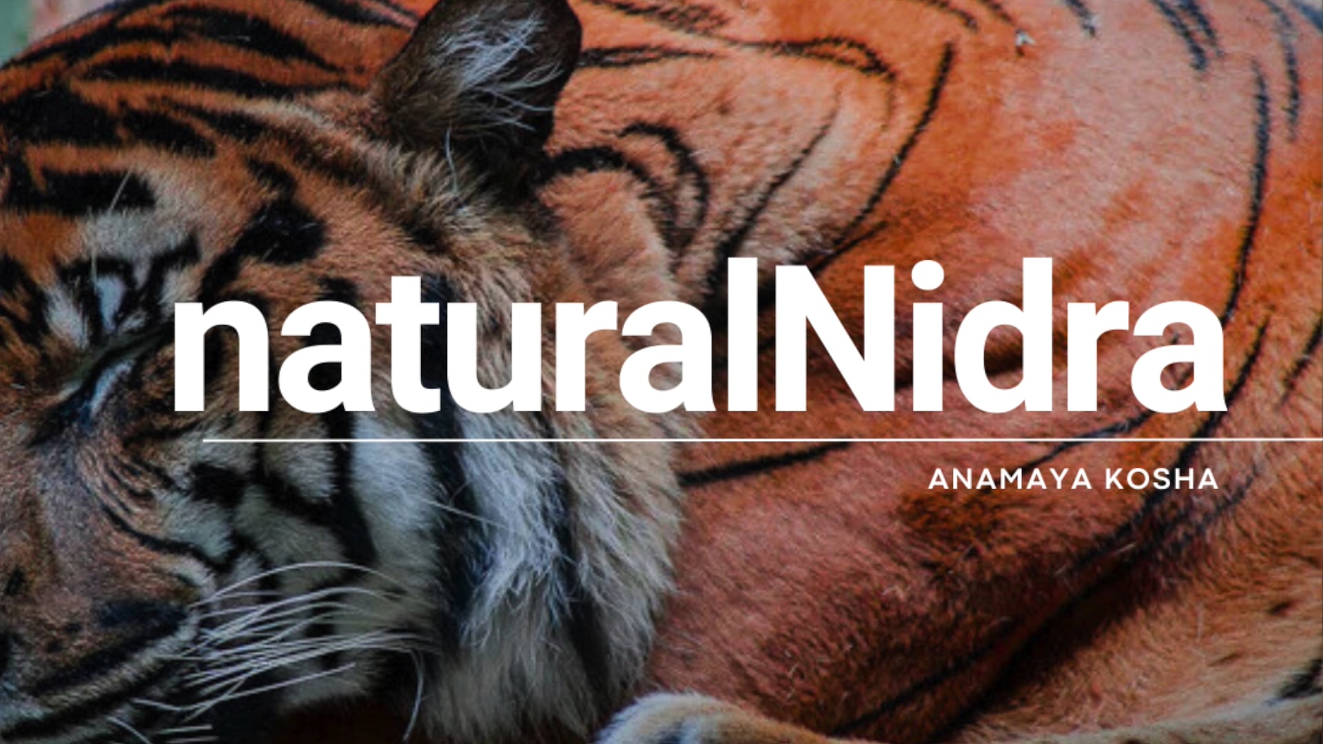 Anamaya Kosha Natural Nidra