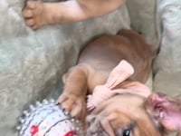 My personality & characteristics