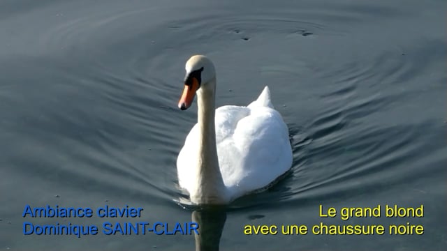 `Votre pianiste aux mille mélodies` Dominique SAINT-CLAIR