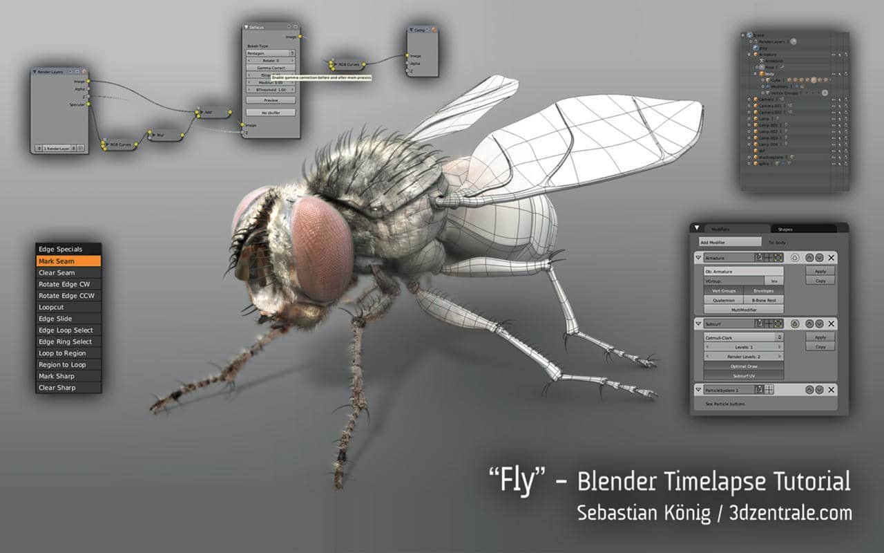 "Fly" Blender Timelapse Tutorial on Vimeo