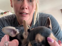 My personality & characteristics