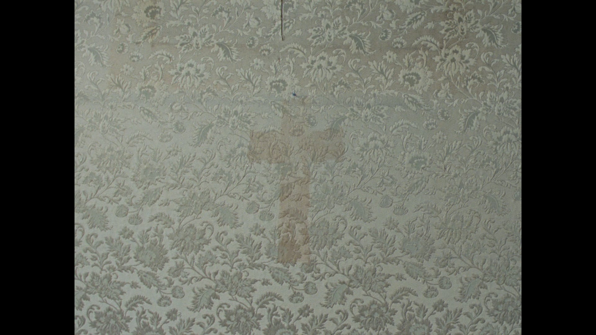 Sentimental Eduction x Zoe Oms