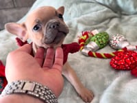 My personality & characteristics