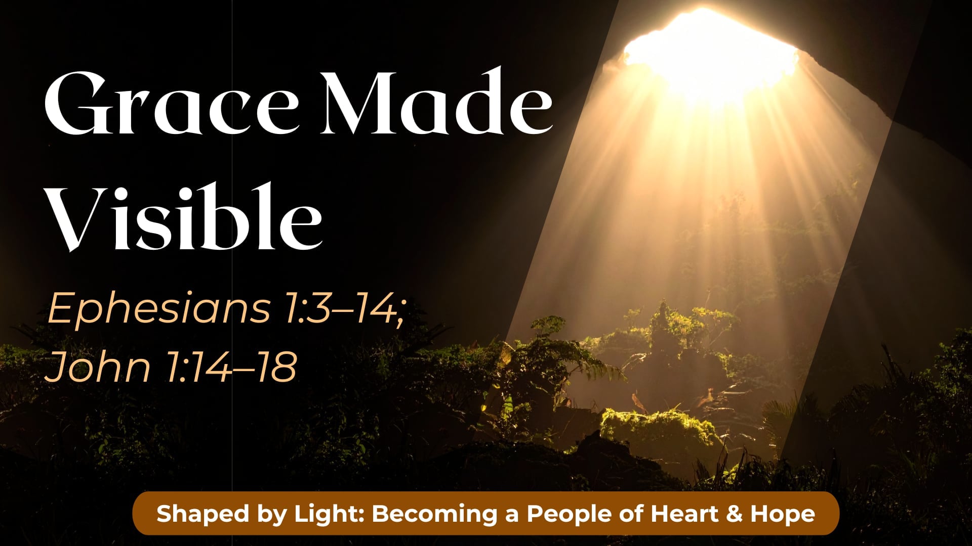 "Grace Made Visible" - Sunday Service