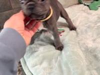 My personality & characteristics