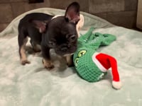 My personality & characteristics