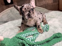 My personality & characteristics