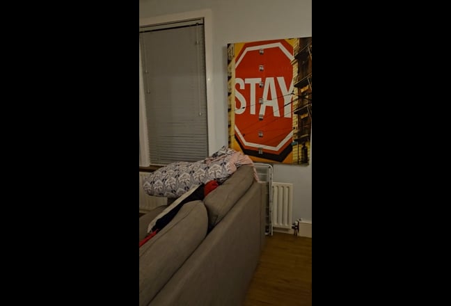 Double bedroom in lovely Bush Hill Park flat Main Photo