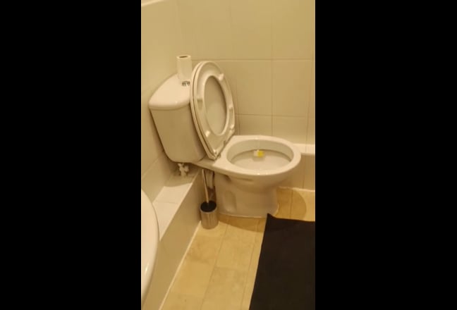 Femail Only! Single Ensuite Room Main Photo