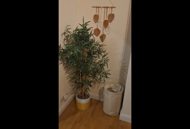 Quiet home fully furnished - room rent Main Photo