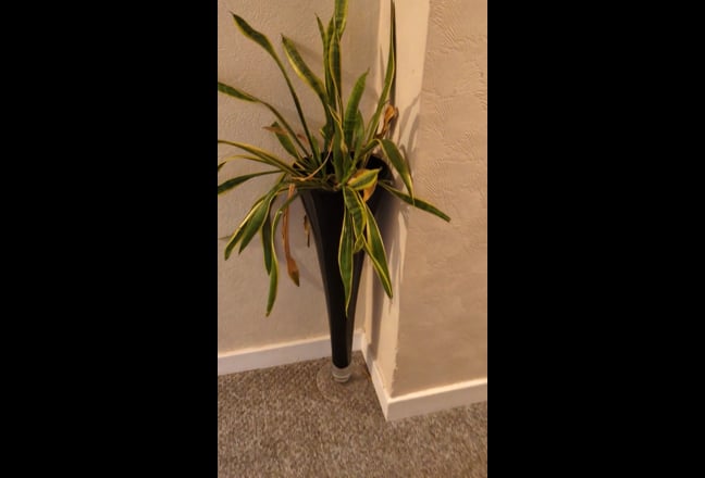 HMO flat near the city/Heriot watt & Napier uni Main Photo