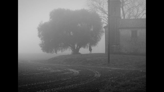 Beneath the Fog Veil by Edoardo Mulato