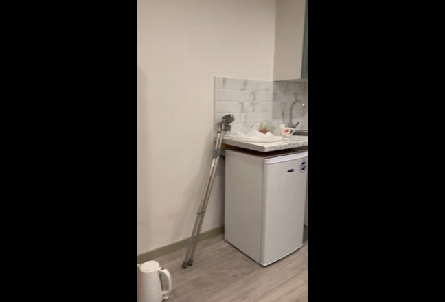 Adult male Main Photo