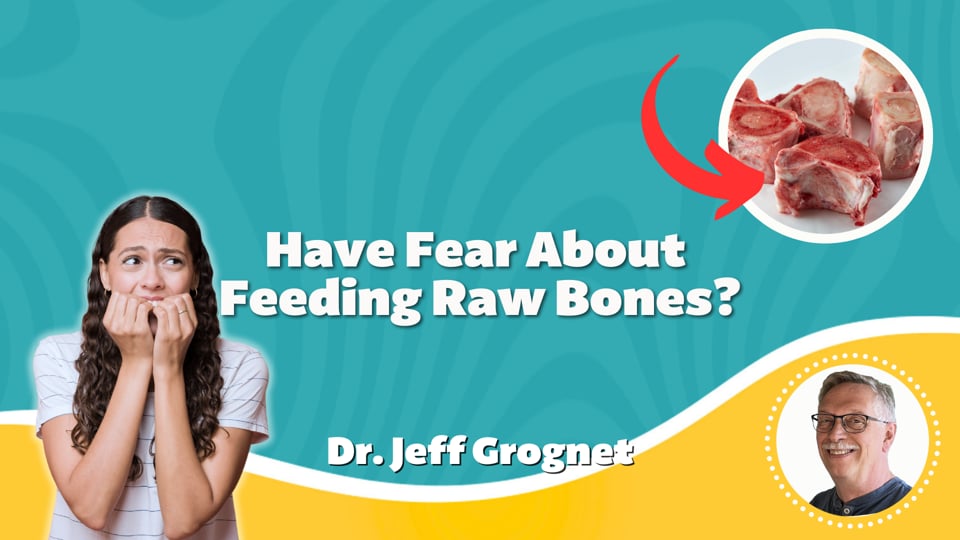 Have Fear About Feeding Raw Bones?