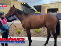 Mr Monaco BBT 27 Dec 25