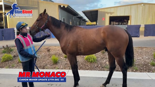 Mr Monaco BBT 27 Dec 25