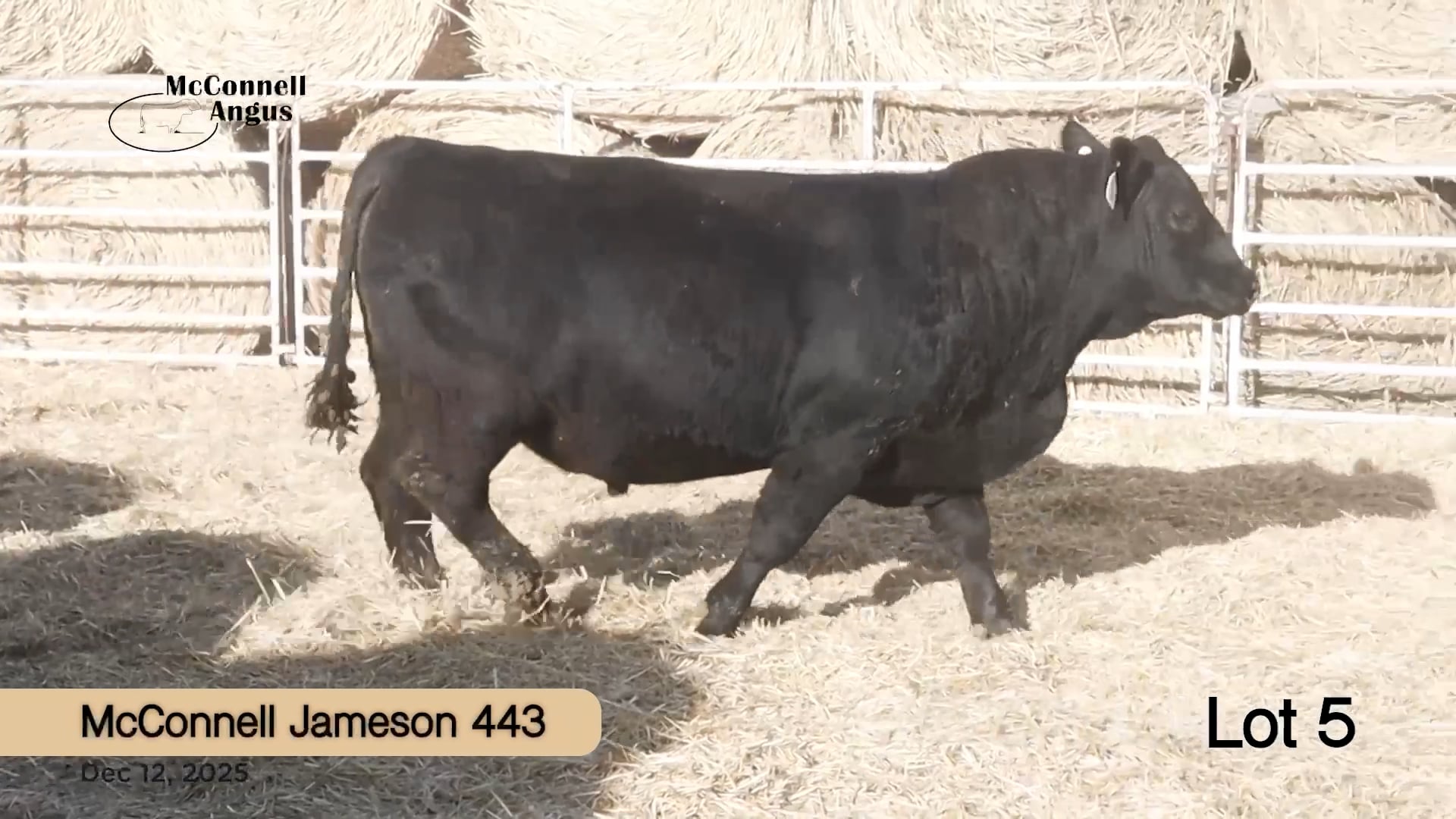 Lot 5 McConnell Jameson 443