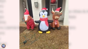 Lizz Is A Thief? ? ?