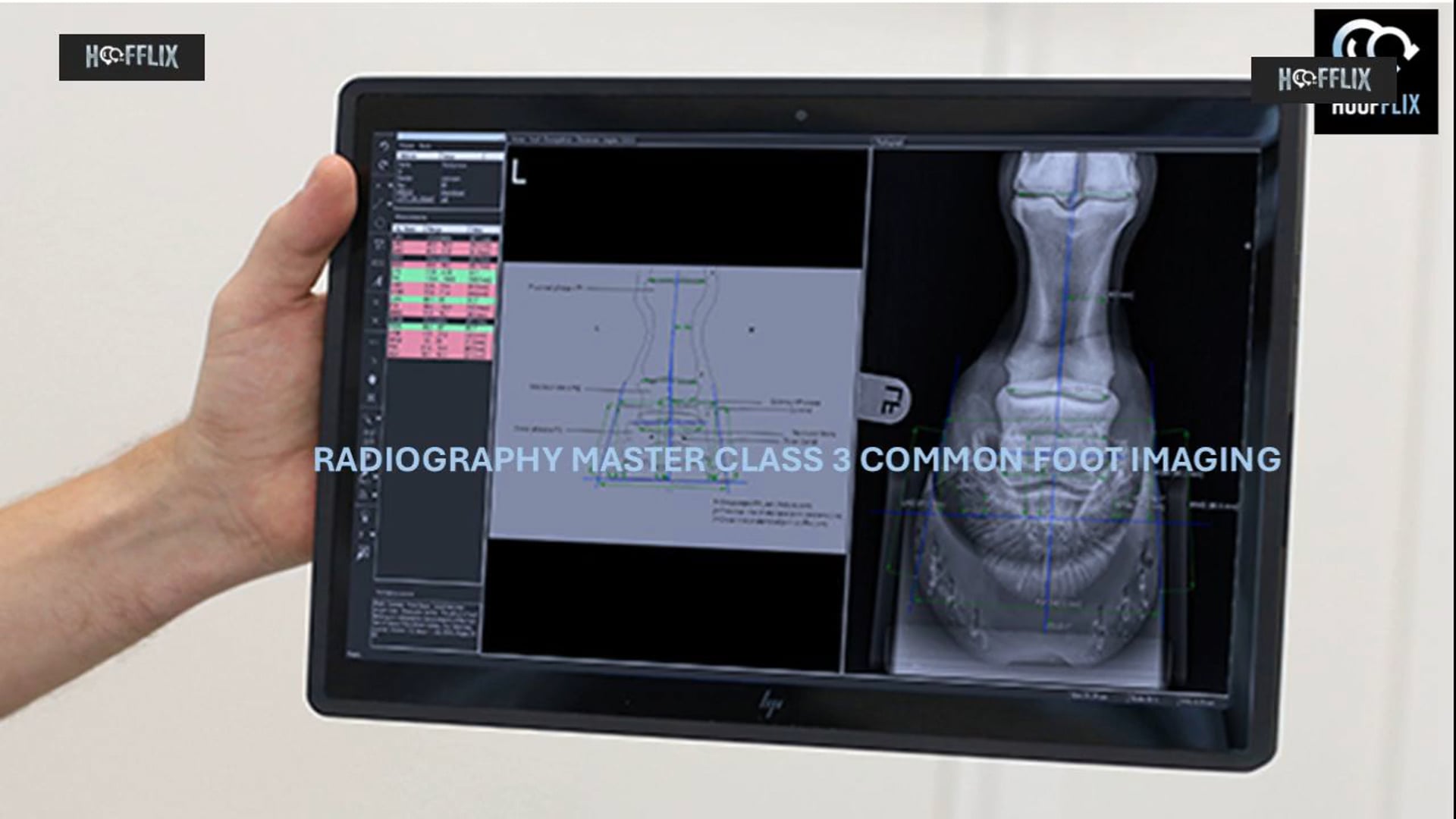 Radiography Masterclass Part 3 Foot Images - HoofFlix TV