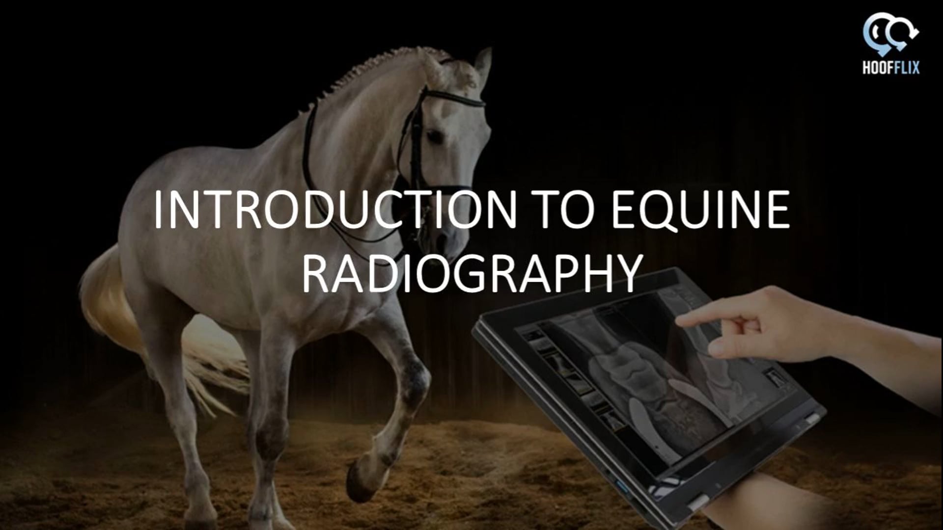 Radiography Master Class Part 1